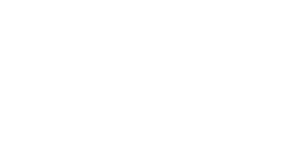 ARCA-Consult GmbH